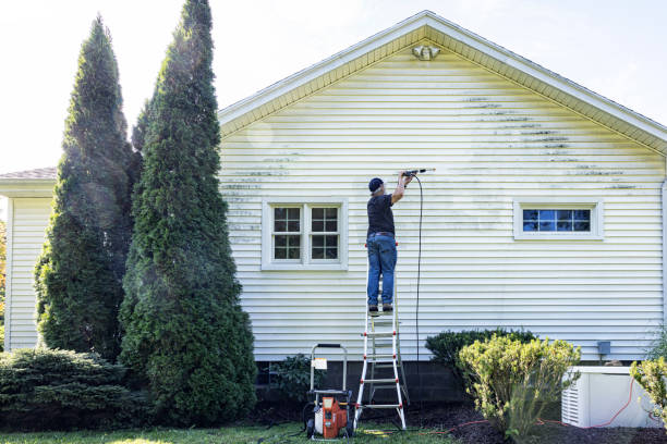 Best Building Exterior Washing  in Herculaneum, MO