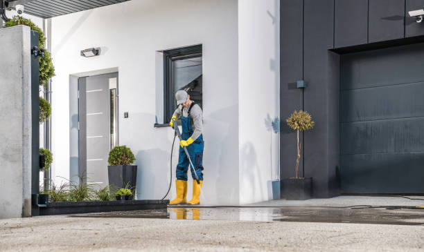 Best Solar Panel Cleaning  in Herculaneum, MO